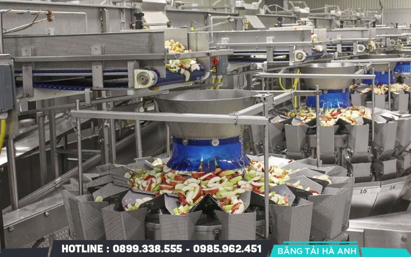 Hệ thống này giúp duy trì sự ổn định của quy trình, giảm thiểu sai sót và kiểm soát chất lượng từng lô hàng