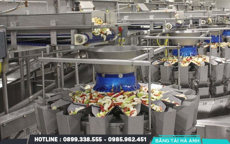 Ngành thực phẩm và đồ uống yêu cầu sự chính xác, vệ sinh và tốc độ cao