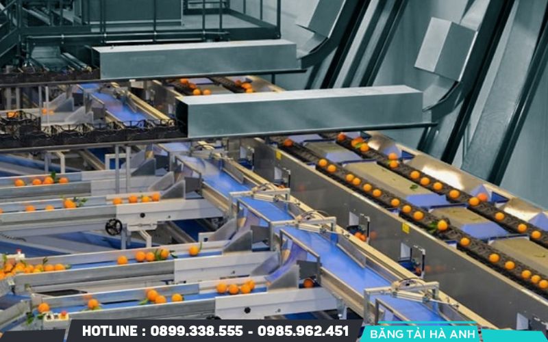 Băng tải hỗ trợ phân loại, kiểm tra và đóng gói sản phẩm