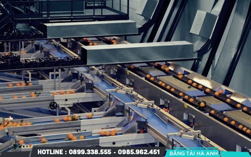 Phân loại sản phẩm theo dải khối lượng cố định hường áp dụng cho các sản phẩm nông sản như trái cây