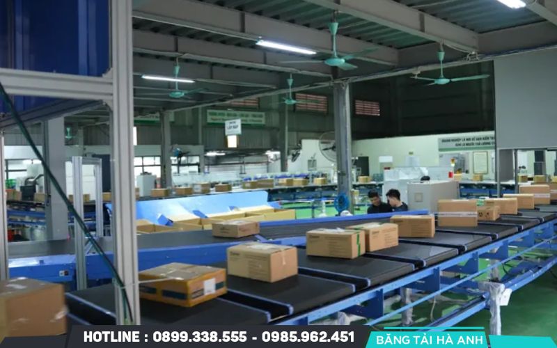 Hệ thống phân loại sản phẩm theo khối lượng là một tổ hợp máy móc tích hợp công nghệ cân điện tử và điều khiển tự động