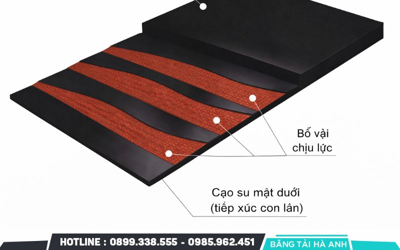 Lớp cao su bề mặt dưới tiếp xúc trực tiếp với các quả lô truyền động và hệ thống con lăn đỡ
