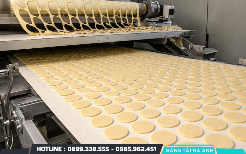 Băng tải được ứng dụng trong nhiều công đoạn của quá trình chế biến thực phẩm