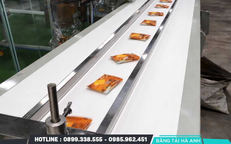 Băng tải được sử dụng để vận chuyển bánh kẹo, thịt cá và nông sản