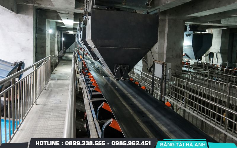 Tác động môi trường đến băng tải có thể gây ra nhiều hệ lụy nghiêm trọng