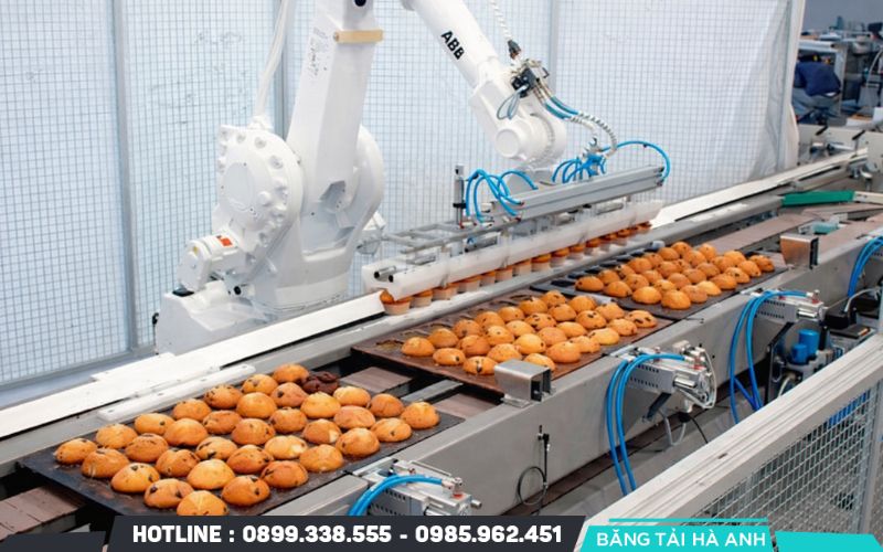 Băng tải nhựa PVC hoặc xích inox giúp vận chuyển thực phẩm đảm bảo các yêu cầu về vệ sinh an toàn