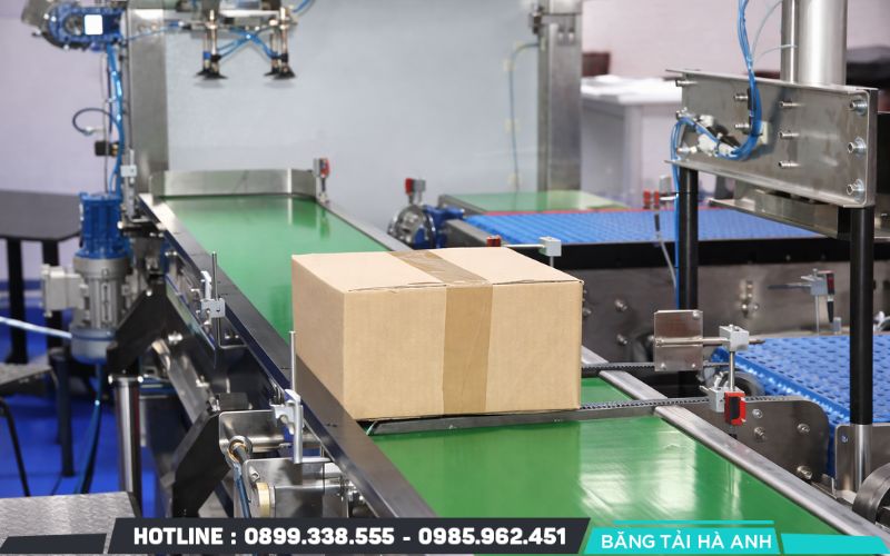 Băng tải nội địa ứng dụng vận chuyển các mặt hàng nhẹ hoặc quy trình đóng gói đơn giản