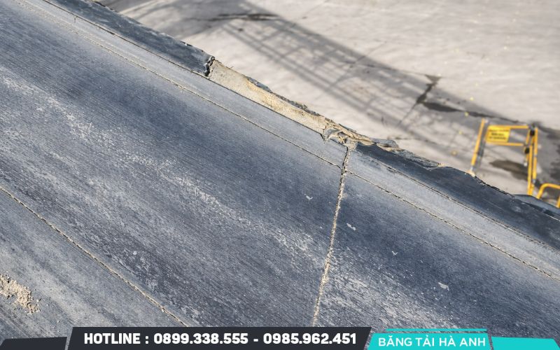 Việc phát hiện sớm các dòng băng tải không đạt chuẩn giúp doanh nghiệp chủ động ngăn chặn các rủi ro