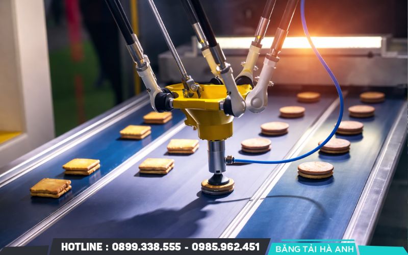 Băng tải dây đai mang đến sự linh hoạt tối đa trong việc di chuyển đa dạng các loại vật liệu nhờ bề mặt tải phẳng