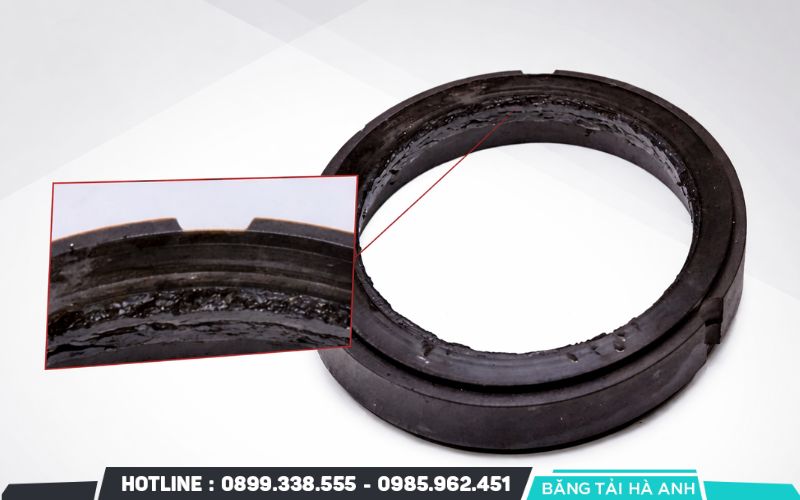 Hệ thống phớt chặn bị hỏng làm nước hoặc hóa chất xâm nhập