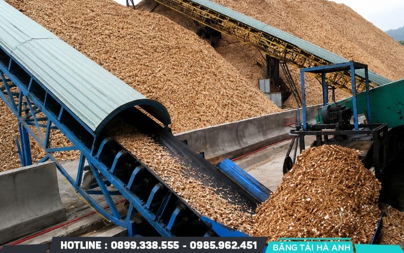 Việc thấu hiểu khái niệm tải trọng giúp bạn chủ động kiểm soát toàn bộ quy trình thiết kế và vận hành hệ thống