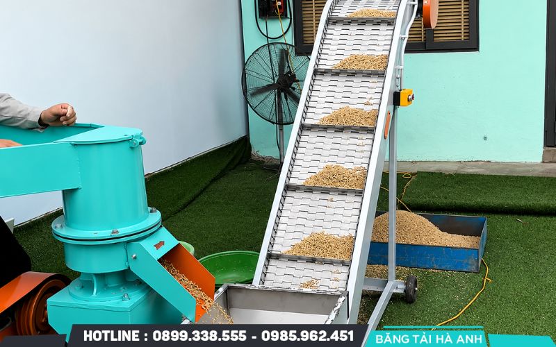 Băng tải vận chuyển nông sản, thức ăn chăn nuôi