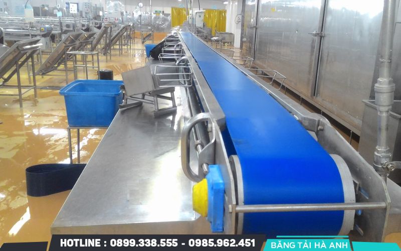 Băng tải PVC và PU được sử dụng rộng rãi trong các ngành điện tử, thực phẩm