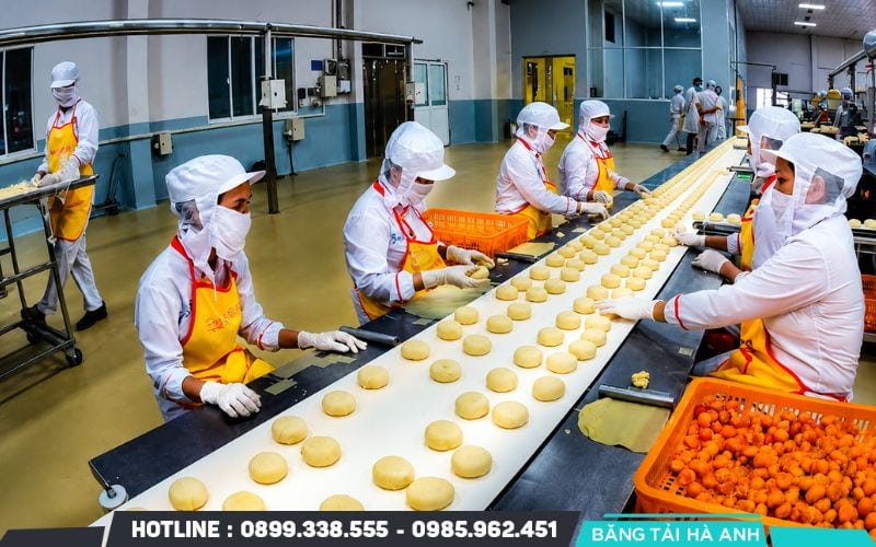 Hệ thống băng tải làm nguội và vận chuyển