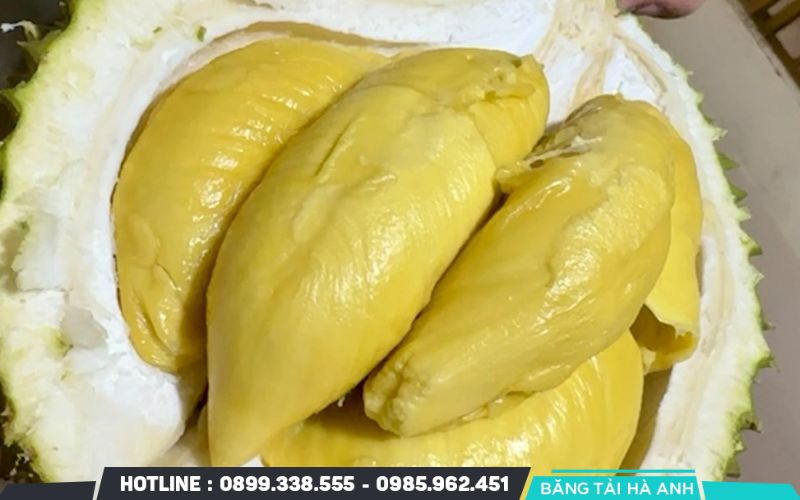 Sầu riêng phải chín tự nhiên, có hương thơm đặc trưng và hàm lượng cơm cao