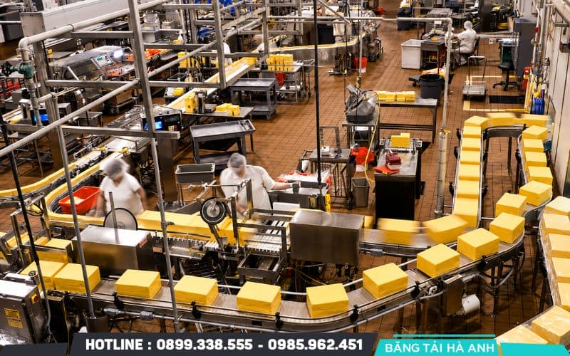Tiếng ồn bất thường của băng tải có thể làm giảm tuổi thọ máy móc và gián đoạn hiệu suất sản xuất