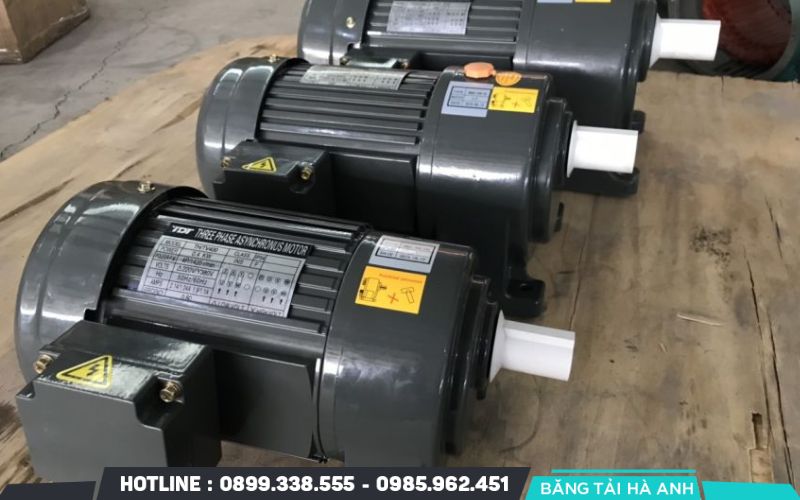 Trục cốt và bạc đạn bị mài mòn là nguyên nhân motor giảm tốc băng tải bị chảy dầu cốt