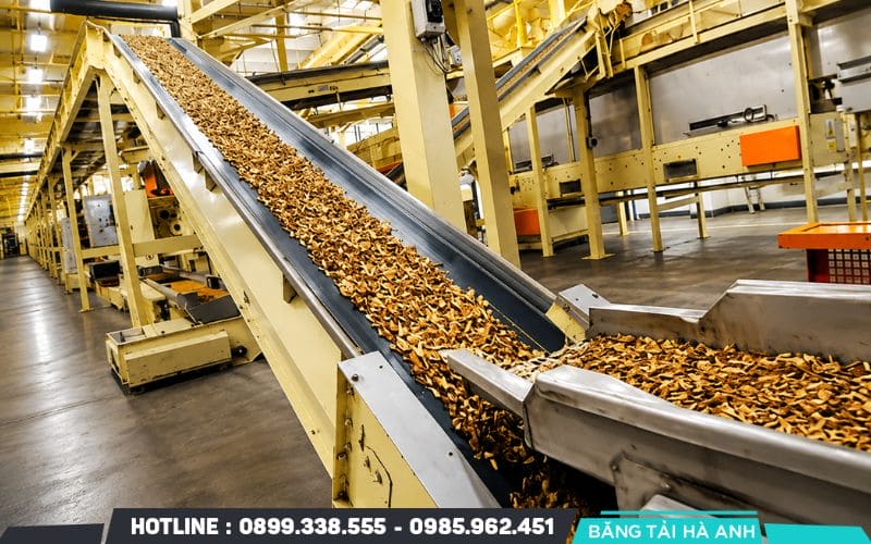 Băng tải chống dầu được sử dụng trong môi trường gia công cơ khí, tái chế và hóa chất
