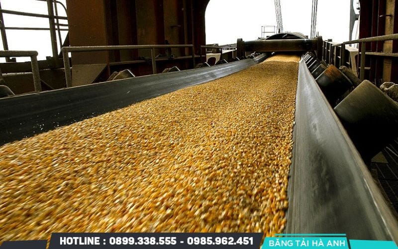 Băng tải kết hợp NBR với cao su tổng hợp khác