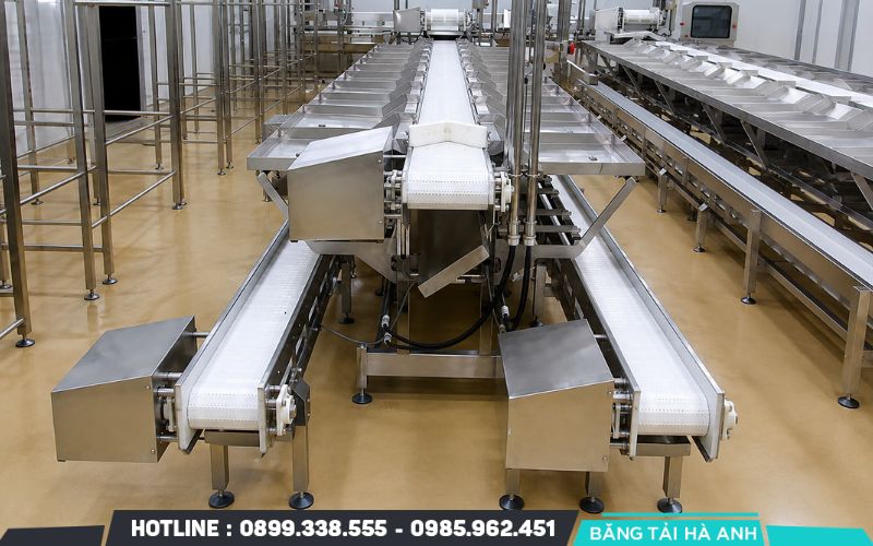 Băng tải ứng dụng trong ngành thực phẩm có yêu cầu vệ sinh cao