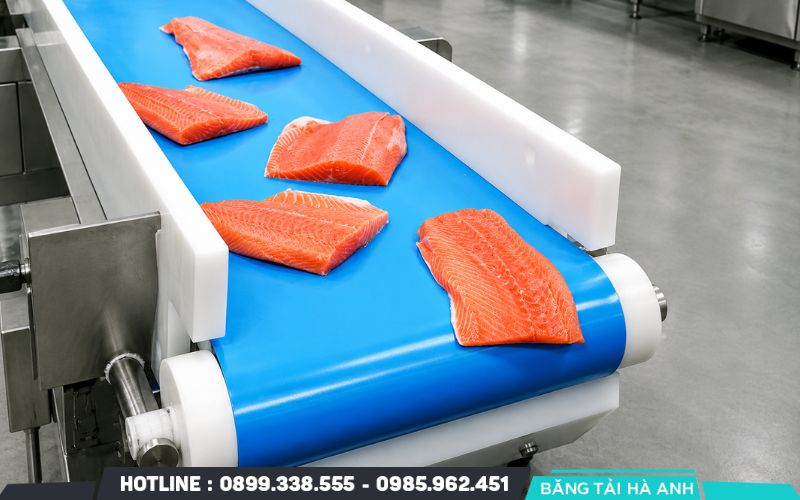 Doanh nghiệp nên ưu tiên băng tải thực phẩm chuyên dụng khi dây băng tiếp xúc trực tiếp với sản phẩm
