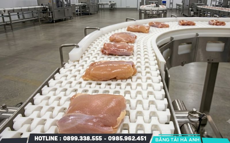 Không chọn băng tải chỉ dựa vào giá thành
