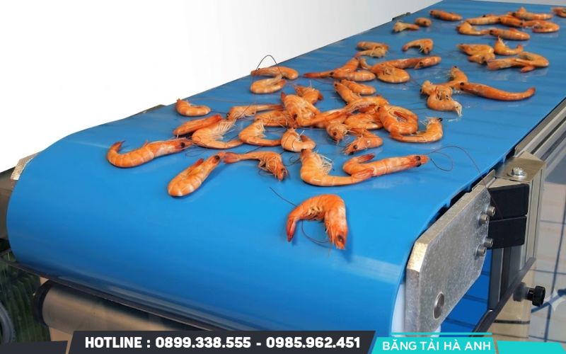 Băng tải nhựa PU cho thực phẩm tươi sống và thủy hải sản