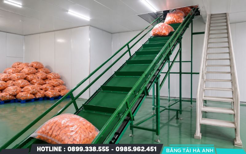 Băng tải nghiêng có gờ chuyên dùng để chuyển sản phẩm đóng gói giữa các độ cao khác nhau trong nhà máy