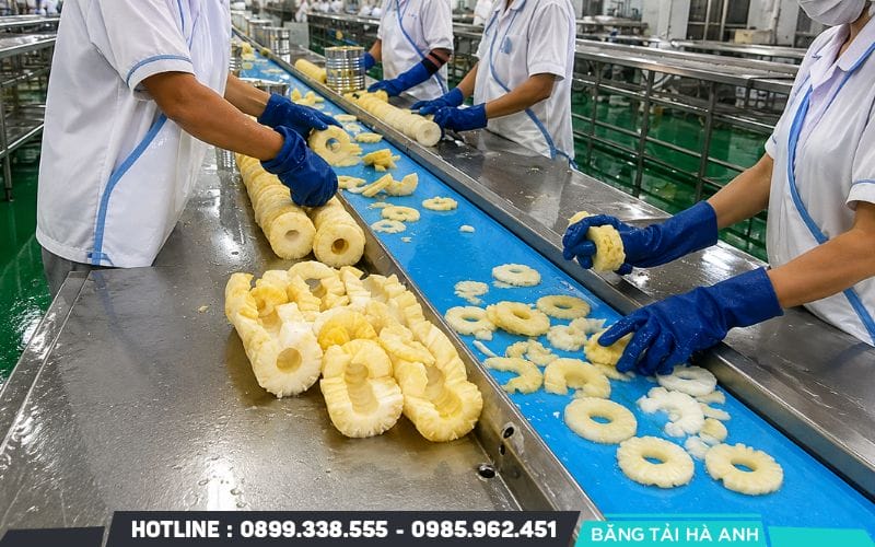 Băng tải PU là lựa chọn phù hợp cho nhiều công đoạn chế biến và vận chuyển thực phẩm
