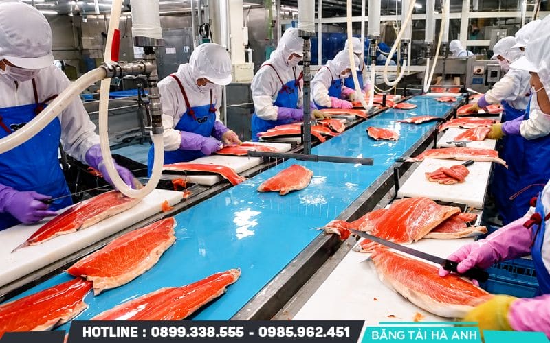 Băng tải cho thịt, cá và thủy hải sản