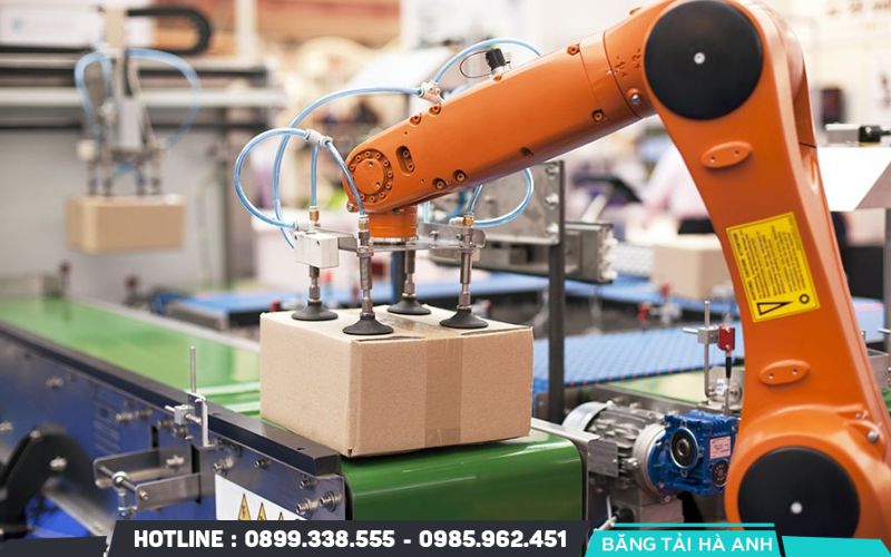 Băng tải đưa sản phẩm đến máy đóng gói, dán nhãn và khu vực phân loại theo quy trình đã thiết lập