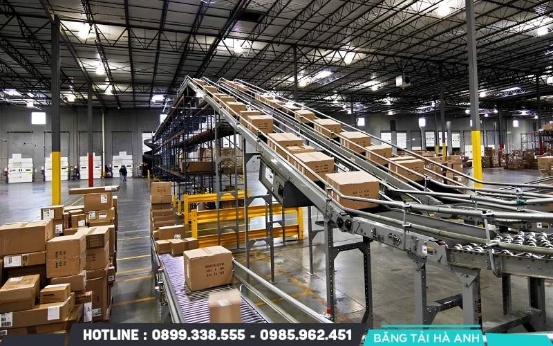 Băng tải phù hợp với quy trình có dòng hàng ổn định và các điểm vận chuyển ít thay đổi