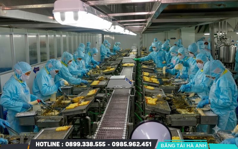 Khảo sát toàn diện và xác định vị trí lãng phí nhân lực