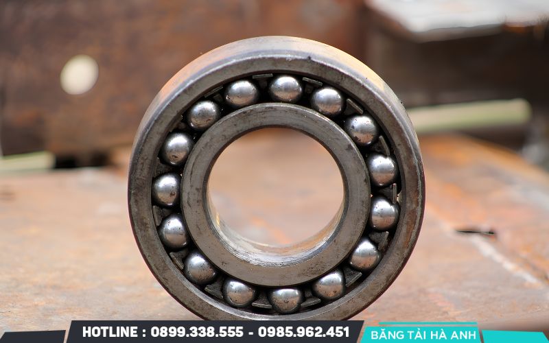 Vòng bi, bạc đạn bị mòn hoặc thiếu chất bôi trơn