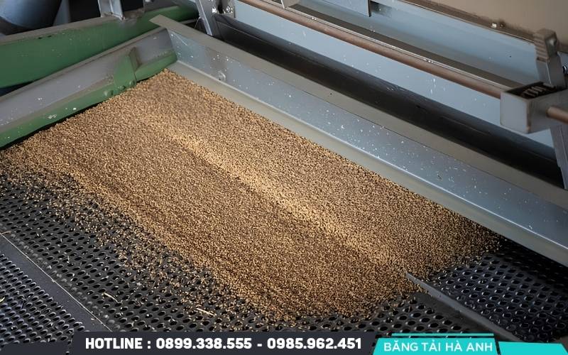 Băng tải rung mạnh bất thường hoặc rung tăng nhanh