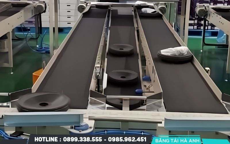 Kỹ thuật viên cần thu thập tốc độ băng tải, tải trọng, kích thước sản phẩm và năng suất của từng máy